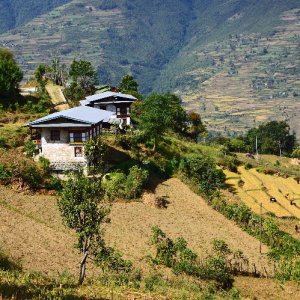 Bhutan - traditional houses surrounded by terraced fields