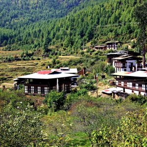 Bhutan - peppers drying on roof