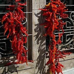 Bhutan - peppers drying