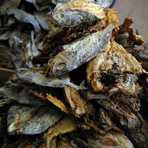 Dried fish, imported from India, Bhutan