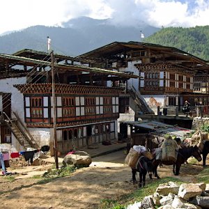 Drukgyel village, Bhutan