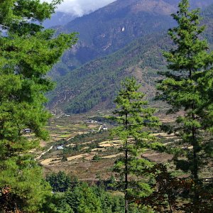 Views down into the valley from Drukgyel Dzong, Bhutan