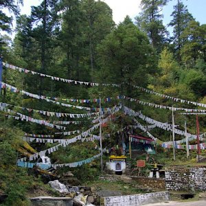 Meditation spot used by Guru Rimpoche - on the way to the Haa valley, Bhutan