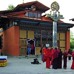 Drubthob Gompa which houses Zilukha nunnery