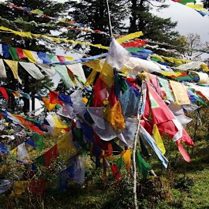 Prayer flags, Dochula Pass, Bhutan