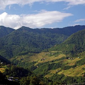 Dropping down on the far side of Dochula Pass, Bhutan
