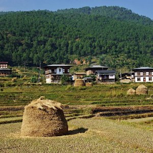 Lobesa village near Chimi Lhakhang, Bhutan