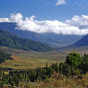 Phobjikha valley, Bhutan