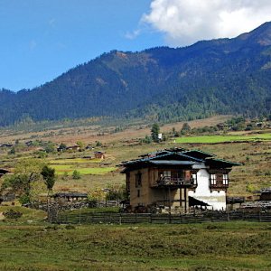 Farms, Phobjikha valley, Bhutan