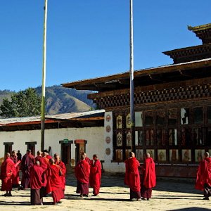 Monks at Gangtey Gompa, Bhutan