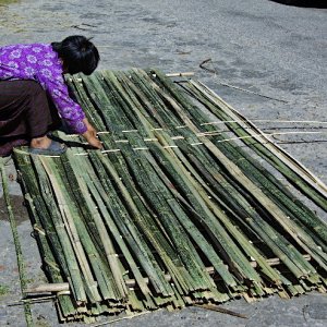 Weaving bamboo fences, Bhutan