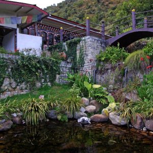 Gardens, Yangkhill Resort, Trongsa, Bhutan