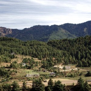 View from Kurje Lhakhang, Bhutan