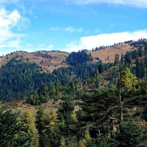 Tang Valley, Bhutan