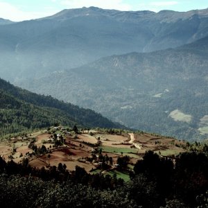 Looking down to Ura valley, Bhutan