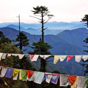 Prayer flags at Thrumshingla Pass, Bhutan