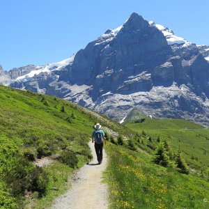 Hiking in Grindelwald