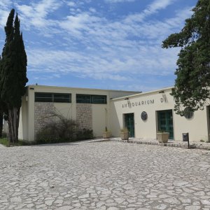 Metaponto Palatine Tables
