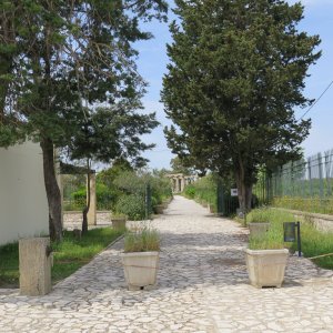 Metaponto Palatine Tables