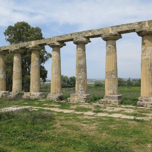 Metaponto Palatine Tables