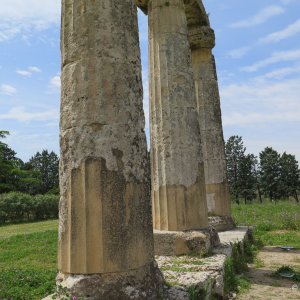 Metaponto Palatine Tables
