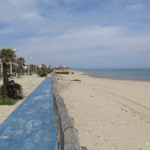 Metaponto Beach