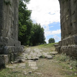 Carsulae