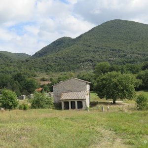 Carsulae