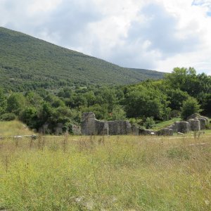 Carsulae