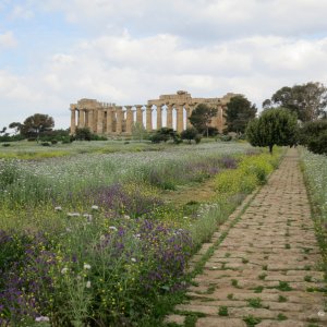 Selinunte