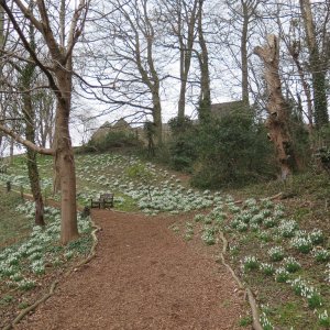 Painswick Rococo Garden