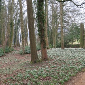 Painswick Rococo Garden