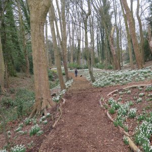 Painswick Rococo Garden