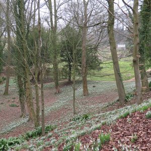 Painswick Rococo Garden