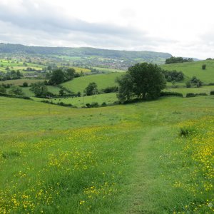 Walking the Cotswold Way - Day 09