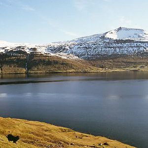 NS5 Looking Across To Eysturoy
