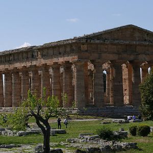 Temple of Neptune
