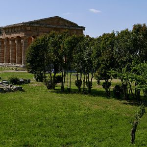 Temple of Neptune
