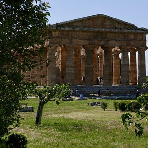 Temple of Neptune