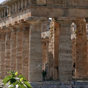 Temple of Neptune