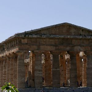 Temple of Neptune