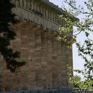 Temple of Neptune