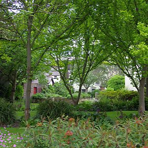 Tullie House Gardens