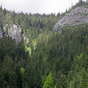 Bicaz Gorge