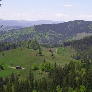 Upland Pasture in the Carpathian Mountains