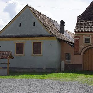 Saschiz