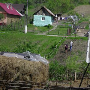 Working in the fields, Bunesti