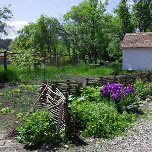 Garden, Viscri