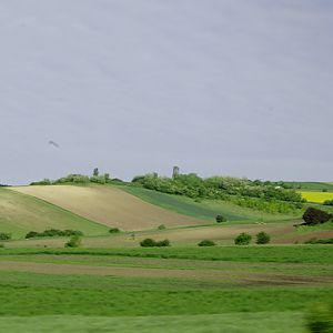 Strip fields