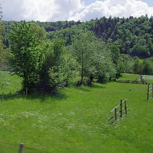 Hay meadow and drying racks